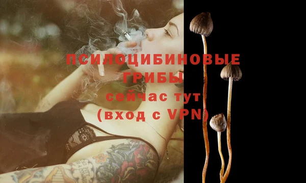 эйфоретик Няндома