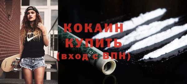 прущие грибы Гусев