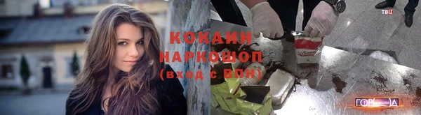 эйфоретик Няндома
