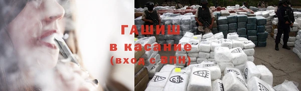 эйфоретик Няндома