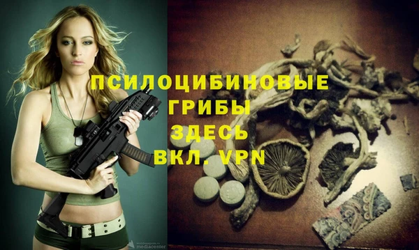 Альфа ПВП Гусь-Хрустальный
