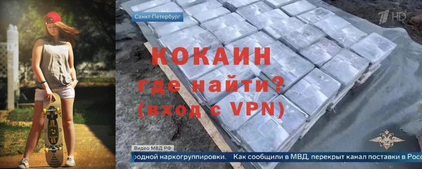 эйфоретик Няндома