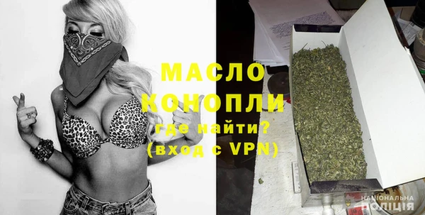 эйфоретик Няндома