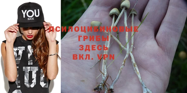 таблы Ленинск-Кузнецкий